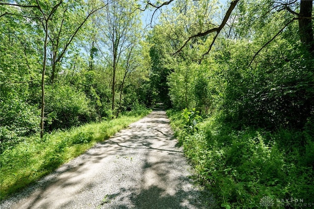 view of road