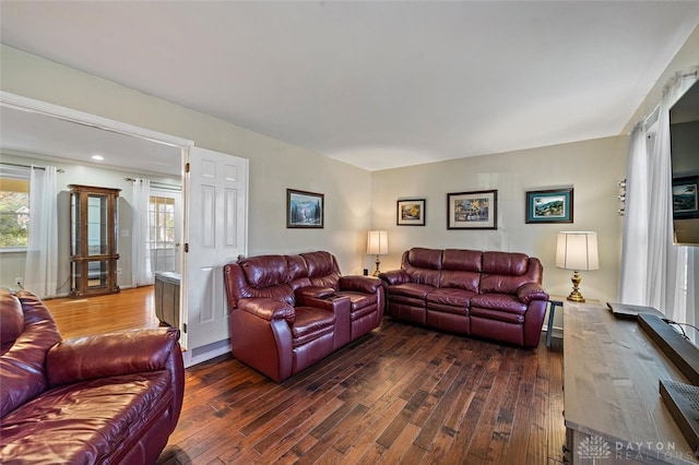 living room with dark wood-type flooring