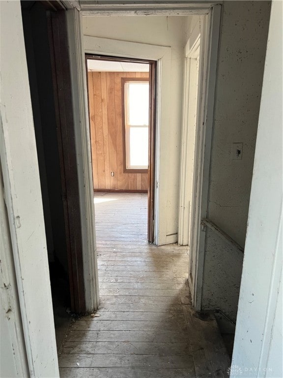 hallway featuring hardwood / wood-style floors and wooden walls