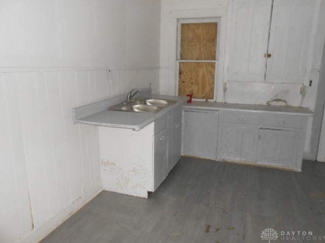 kitchen featuring dark hardwood / wood-style flooring and sink