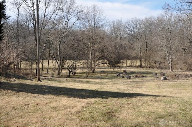 view of yard featuring a rural view