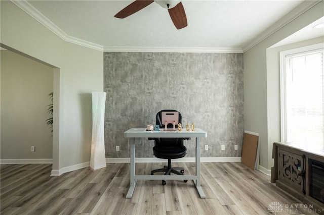 office space with light wood-type flooring, ceiling fan, and crown molding