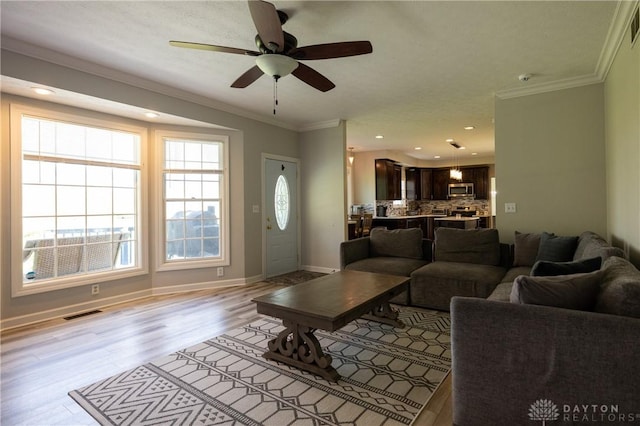 living room with light hardwood / wood-style floors, ceiling fan, and ornamental molding