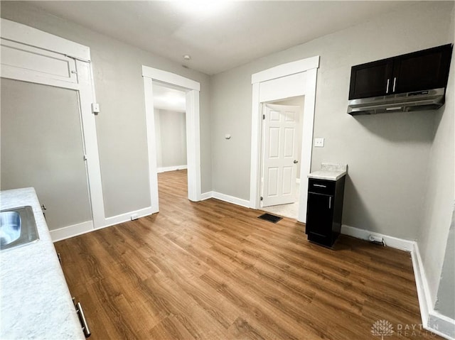 interior space featuring wood-type flooring and sink