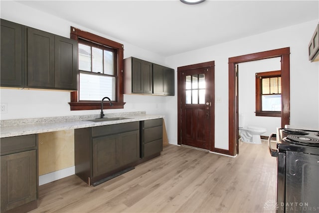 kitchen featuring light hardwood / wood-style floors, a healthy amount of sunlight, and sink