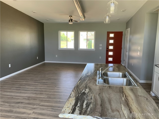 entrance foyer with dark hardwood / wood-style flooring, sink, and ceiling fan