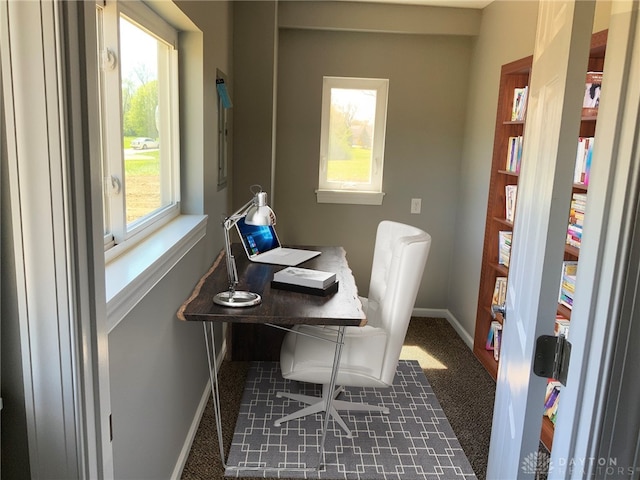 home office with dark carpet