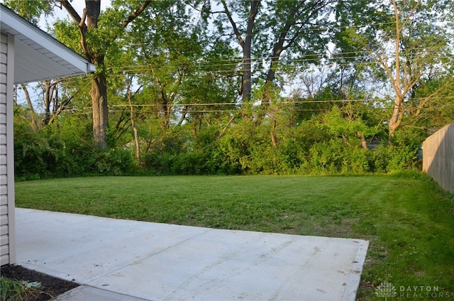 view of yard with a patio area