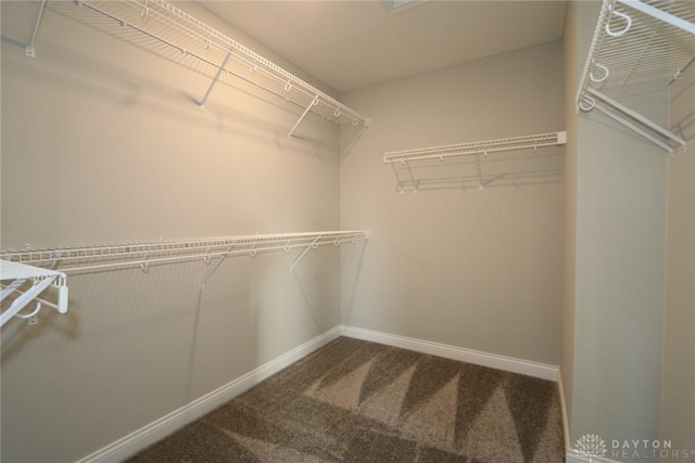 spacious closet with carpet