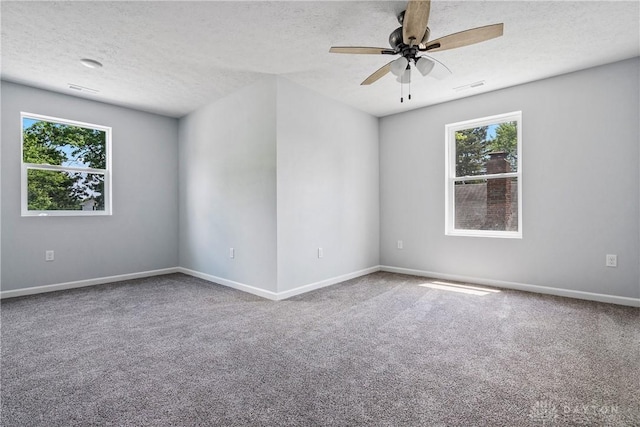 unfurnished room featuring a textured ceiling, carpet floors, a wealth of natural light, and baseboards