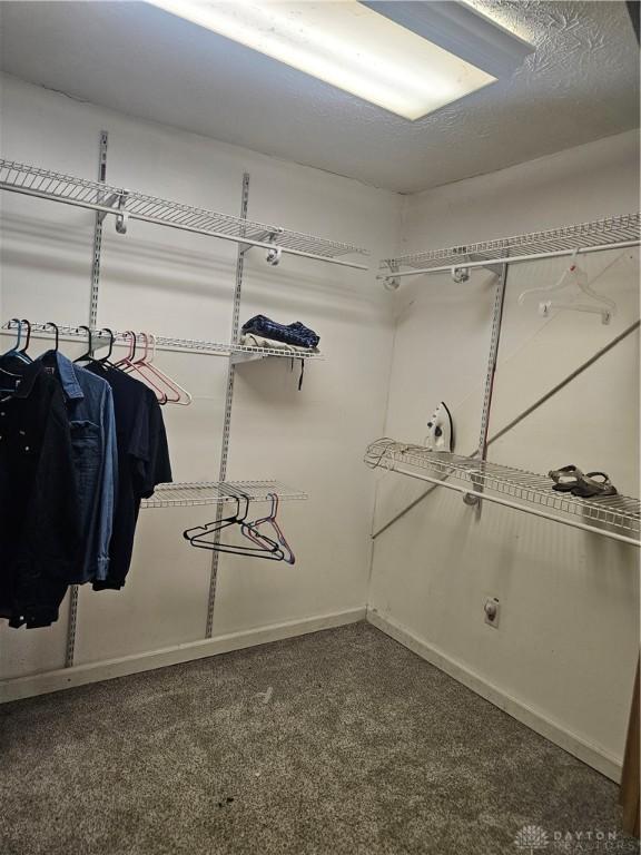 spacious closet with carpet floors