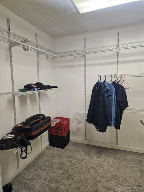 spacious closet with carpet flooring