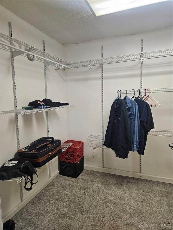 spacious closet featuring carpet floors