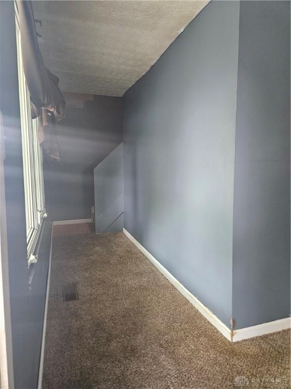 interior space with carpet flooring and a textured ceiling