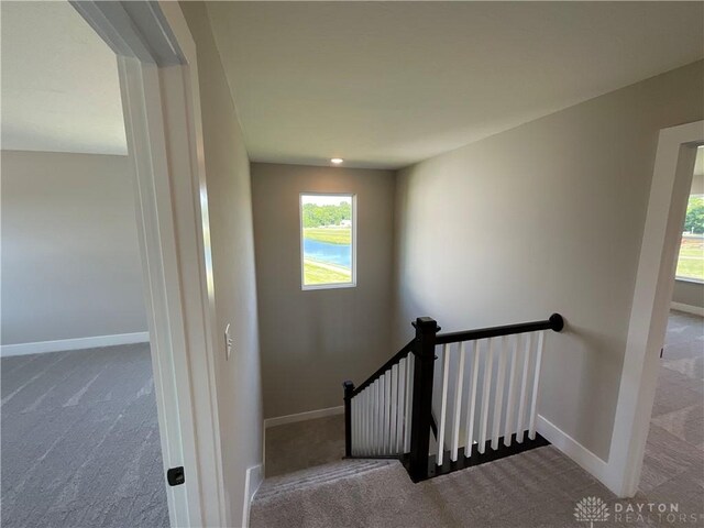 stairway featuring carpet