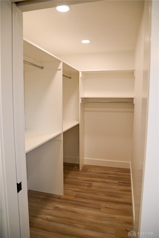 spacious closet featuring dark hardwood / wood-style flooring