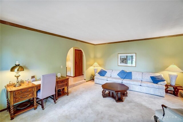 living room with carpet flooring and crown molding