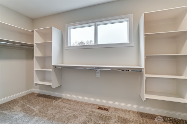 spacious closet with carpet flooring