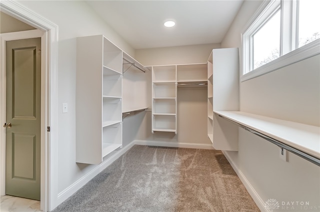 spacious closet with light carpet