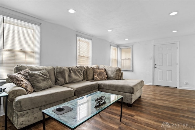 living room with dark hardwood / wood-style floors and plenty of natural light