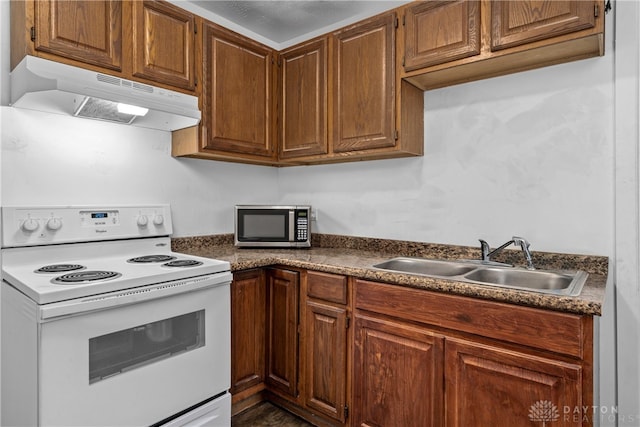 kitchen with sink and white range with electric cooktop