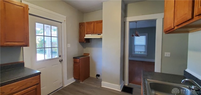 kitchen featuring sink and dark wood-type flooring