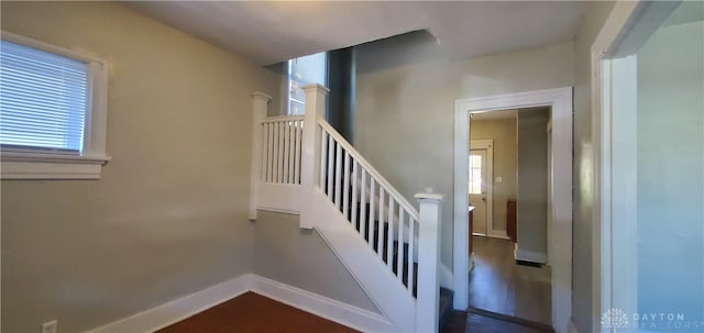 stairs with hardwood / wood-style floors