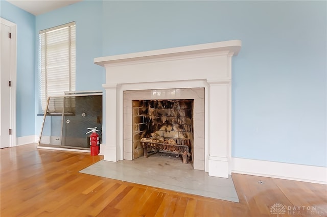 room details with hardwood / wood-style floors