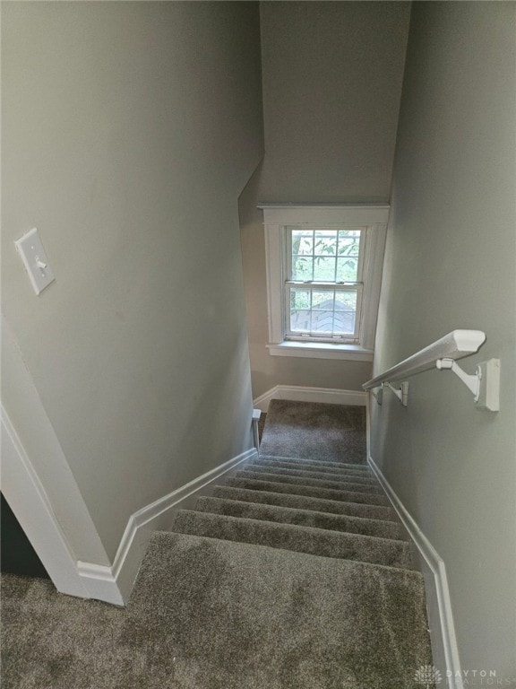 stairway featuring carpet floors