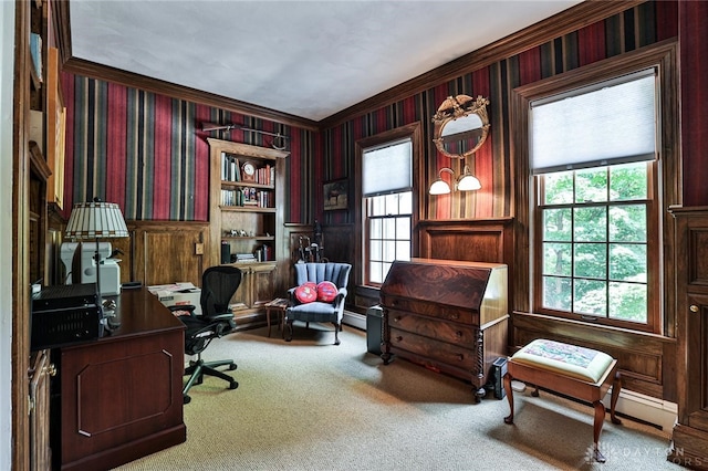 office with carpet and crown molding