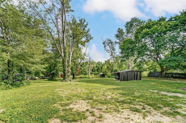 view of yard featuring a storage shed and an outdoor structure