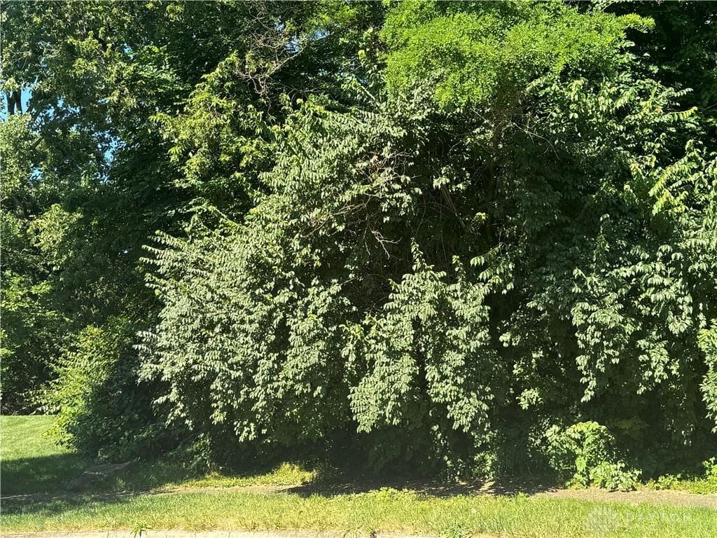 LOT15 Bridgeport Dr, Dayton, OH 45406 - photo 3