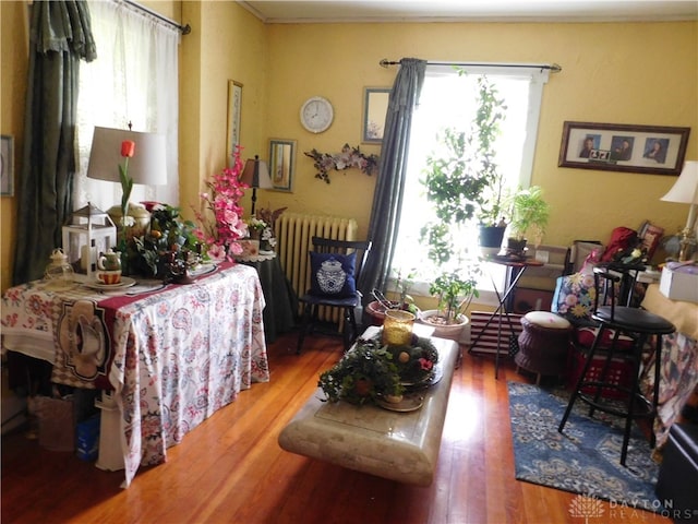 living room featuring hardwood / wood-style floors and radiator