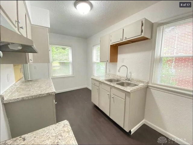 kitchen with a textured ceiling, a wealth of natural light, dark wood-type flooring, and sink