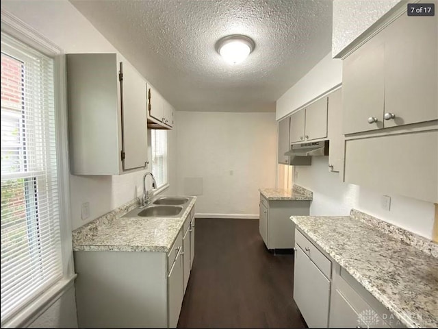 kitchen featuring a textured ceiling, dark hardwood / wood-style floors, gray cabinetry, and sink