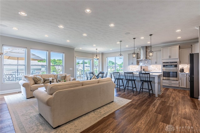 living room with dark hardwood / wood-style floors and ornamental molding