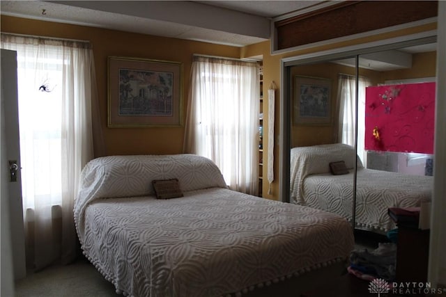 bedroom featuring multiple windows and a closet