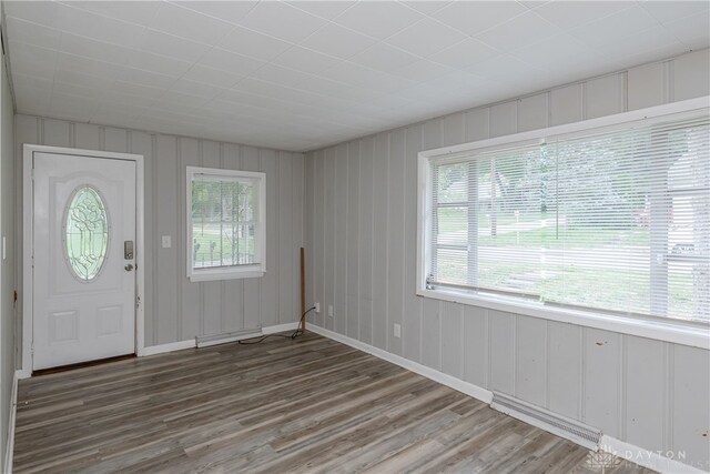 entrance foyer with hardwood / wood-style flooring and plenty of natural light