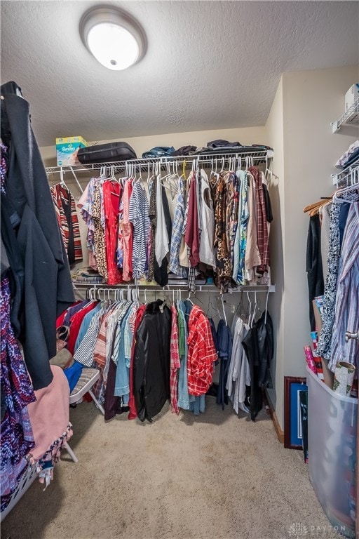 walk in closet with carpet flooring