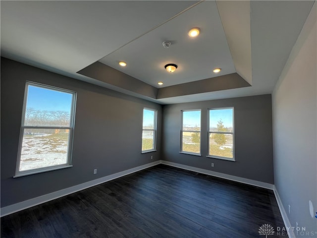 unfurnished room with dark hardwood / wood-style flooring and a raised ceiling