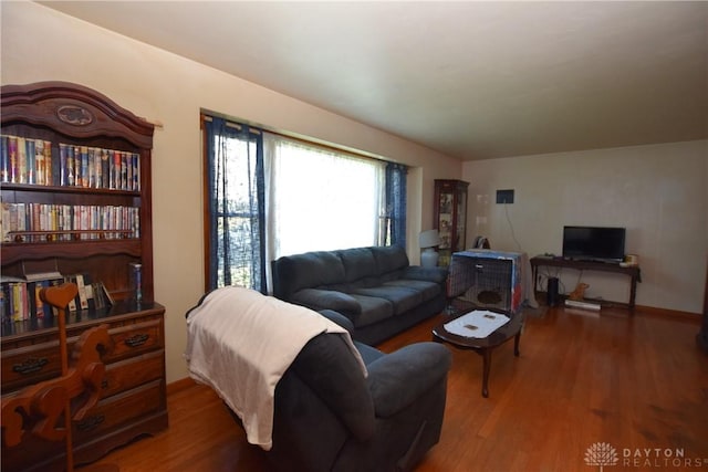 living room featuring hardwood / wood-style flooring