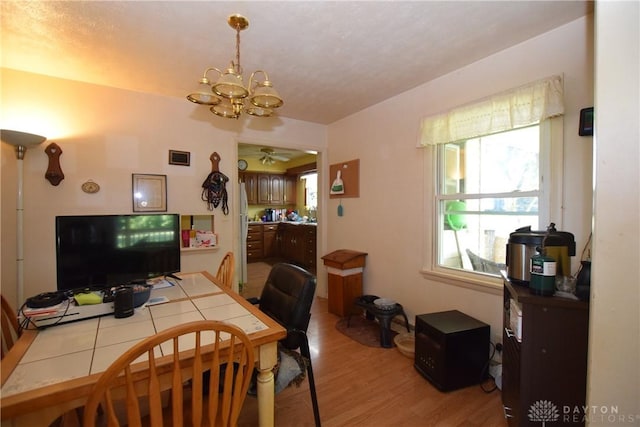 dining space featuring ceiling fan with notable chandelier and light hardwood / wood-style flooring