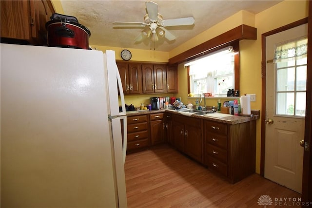 kitchen with white fridge, ceiling fan, a textured ceiling, light hardwood / wood-style flooring, and sink