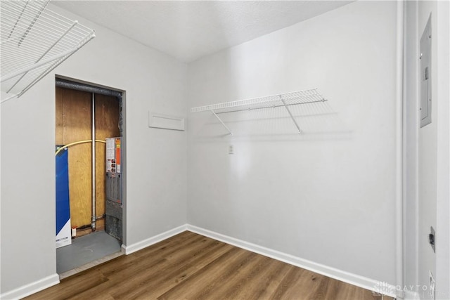 spacious closet featuring hardwood / wood-style flooring