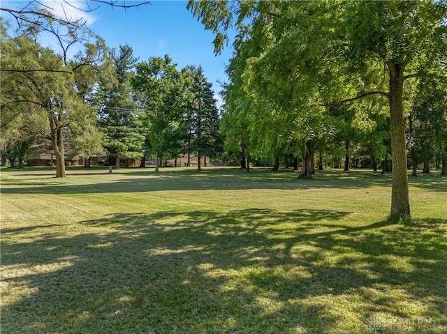 view of home's community with a yard