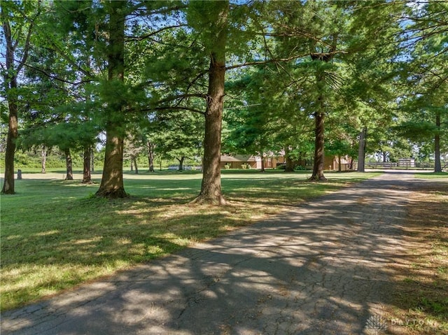 view of home's community with a yard