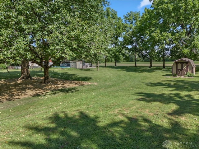 view of yard with a shed