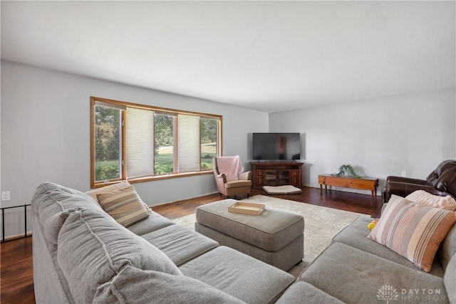 living room featuring wood-type flooring