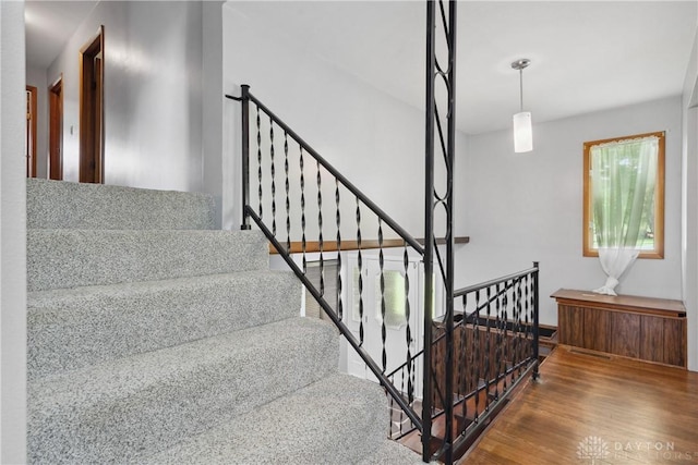 stairs with hardwood / wood-style flooring