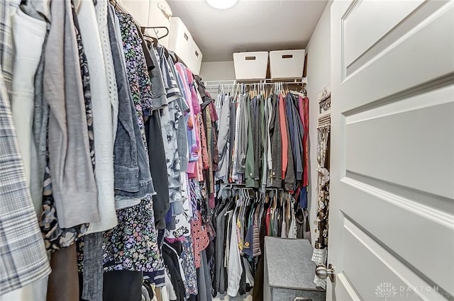 view of spacious closet